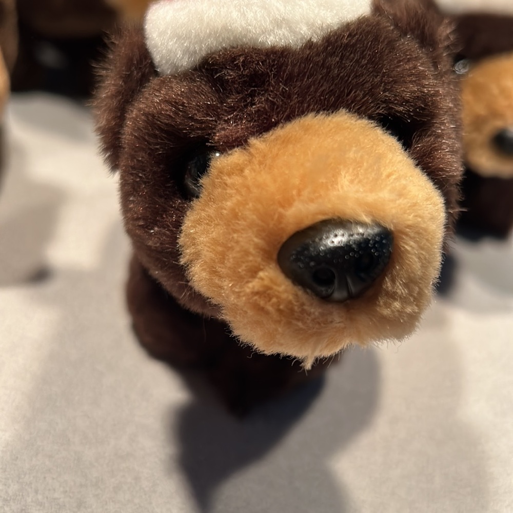5 Precious Bank of the West Bear Ornaments - Picture 2 of 10